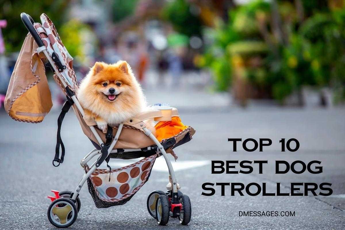 Best Dog Stroller